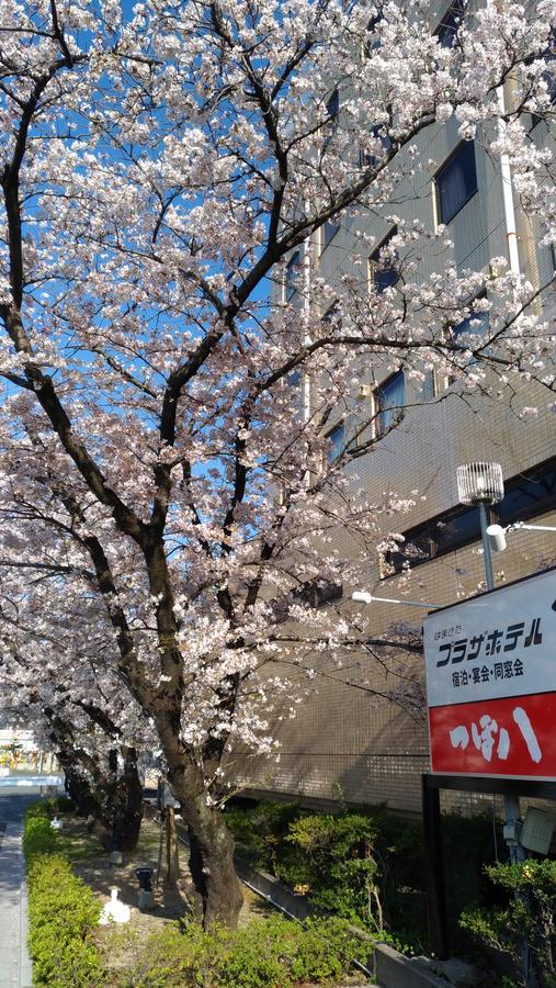 Hamakita Plaza Hotel Hamamatsu Exterior foto